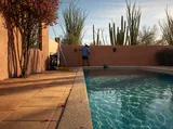 Pool maintenance in a courtyard with desert planting